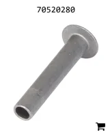 AGCO 70520280 Заклепка