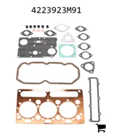AGCO 4223923M91 Комплект прокладок