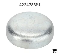 AGCO 4224783M1 Заглушка