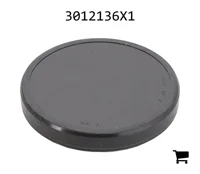 AGCO 3012136X1 Заглушка