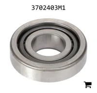 AGCO 3702403M1 Подшипник