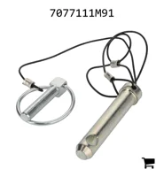 AGCO 7077111M91 Палец