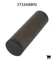 AGCO 3716688M2 Палец вилки