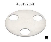 AGCO 4301925M1 Шайба