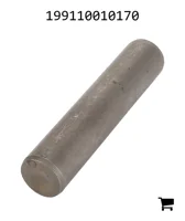 AGCO 199110010170 Палец цилиндра
