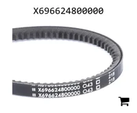 AGCO X696624800000 Ремень клиновой