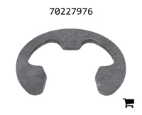 AGCO 70227976 Кольцо