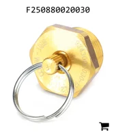 AGCO F250880020030 Сливной клапан