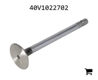 AGCO 40V1022702 Клапан