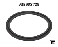 AGCO V35098700 Уплотнительное кольцо