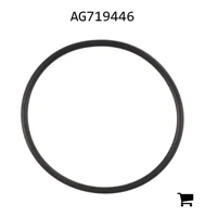AGCO AG719446 Уплотнительное кольцо