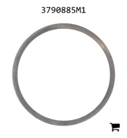 AGCO 3790885M1 Шайба