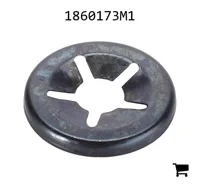AGCO 1860173M1 Шайба