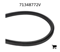 AGCO 71348772V Ремень