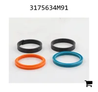 AGCO 3175634M91 Ремкомплект