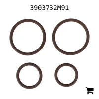 AGCO 3903732M91 Комплект соединений и прокладок электромагнитного клапана