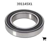 AGCO 391145X1 Цилиндрический шариковый подшипник