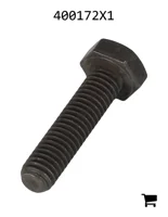 AGCO 400172X1 Болт