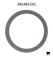 AGCO 3014025X1 Шайба