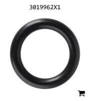 AGCO 3019962X1 Уплотнительное кольцо