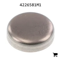 AGCO 4226581M1 Заглушка