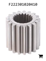 AGCO F222301020410 Шестерня