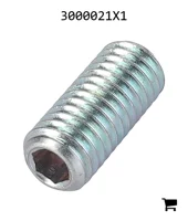 AGCO 3000021X1 Винт