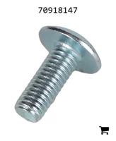 AGCO 70918147 Винт
