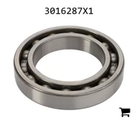 AGCO 3016287X1 Шариковый подшипник