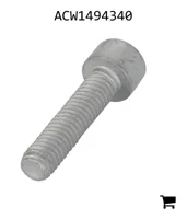 AGCO ACW1494340 Установочный винт с шестигранной головкой