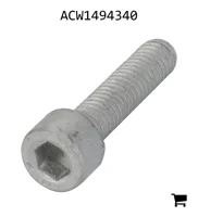 AGCO ACW1494340 Установочный винт с шестигранной головкой