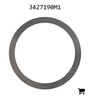 AGCO 3427190M1 Шайба
