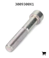 AGCO 3009300X1 Винт с внутренним шестигранником