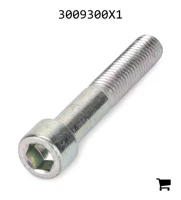 AGCO 3009300X1 Винт с внутренним шестигранником