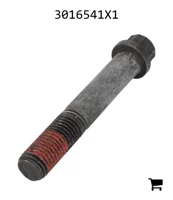 AGCO 3016541X1 Винт с 12-гранной головкой с фланцем