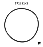 AGCO 372612X1 Уплотнительное кольцо