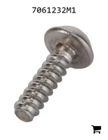 AGCO 7061232M1 Винт