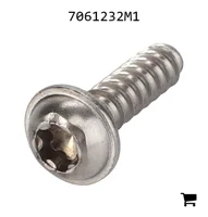 AGCO 7061232M1 Винт