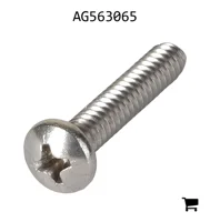 AGCO AG563065 Винт с полукруглой головкой