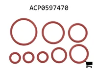 AGCO ACP0597470 Ремкомплект
