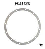 AGCO 3619893M1 Регулировочная шайба