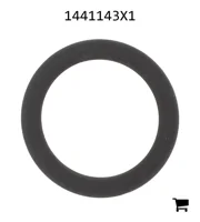 AGCO 1441143X1 Уплотнительное кольцо