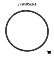 AGCO 3704956M1 Уплотнительное кольцо
