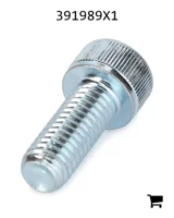 AGCO 391989X1 Винт с цилиндрической головкой и шестигранным углублением