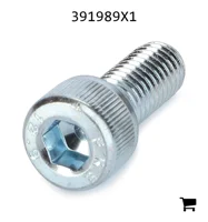 AGCO 391989X1 Винт с цилиндрической головкой и шестигранным углублением