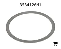 AGCO 3534126M1 Шайба