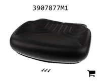 AGCO 3907877M1 Подушка