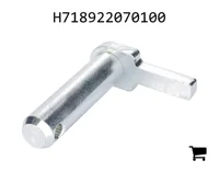 AGCO H718922070100 Болт
