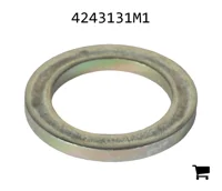 AGCO 4243131M1 Плоская шайба