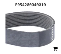 AGCO F954200040010 Поликлиновой ремень, профиль PK10